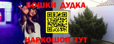 spice Рыбинск