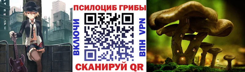 Галлюциногенные грибы GOLDEN TEACHER Учалы