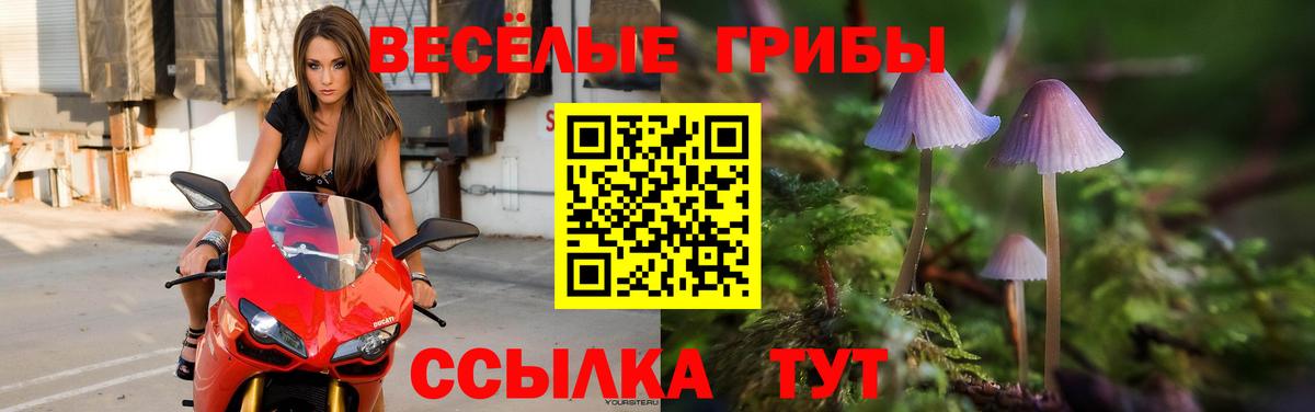 Галлюциногенные грибы мухоморы Учалы