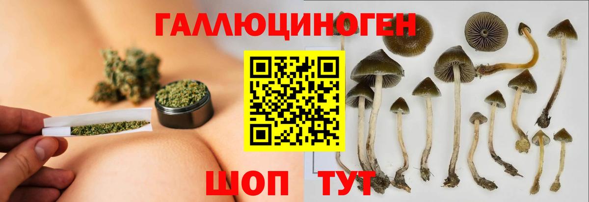 Псилоцибиновые грибы GOLDEN TEACHER  Вход с VPN  Учалы 